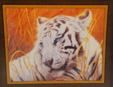 Majestic Serenity modello