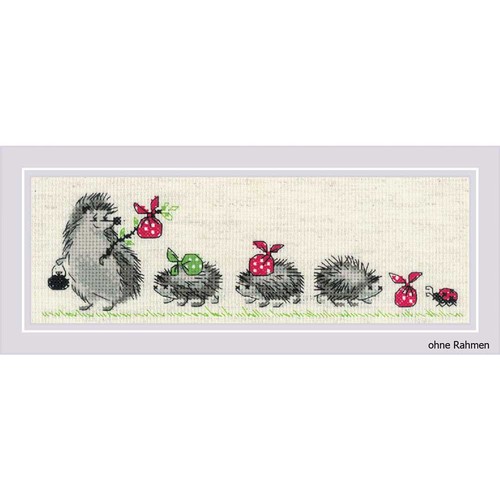 Set punto croce riolis - di,